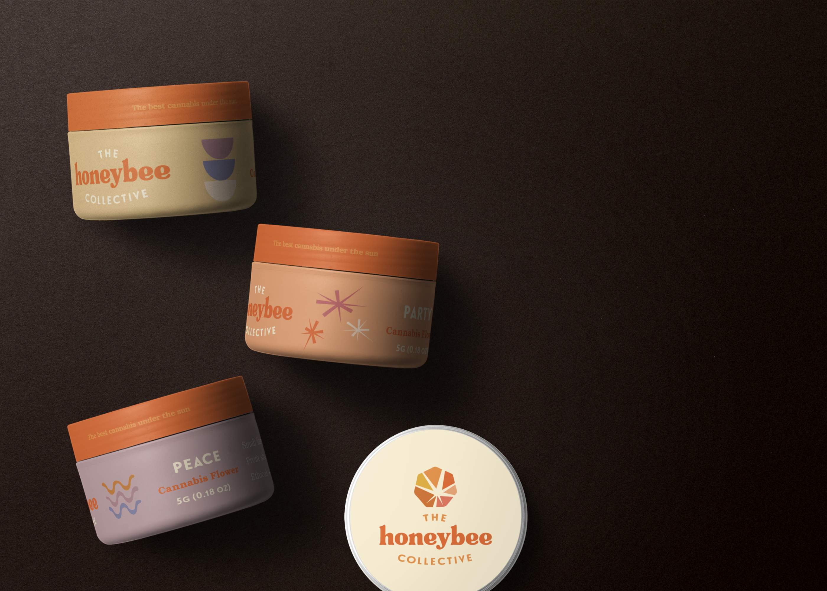 Honeybee Collective concept 