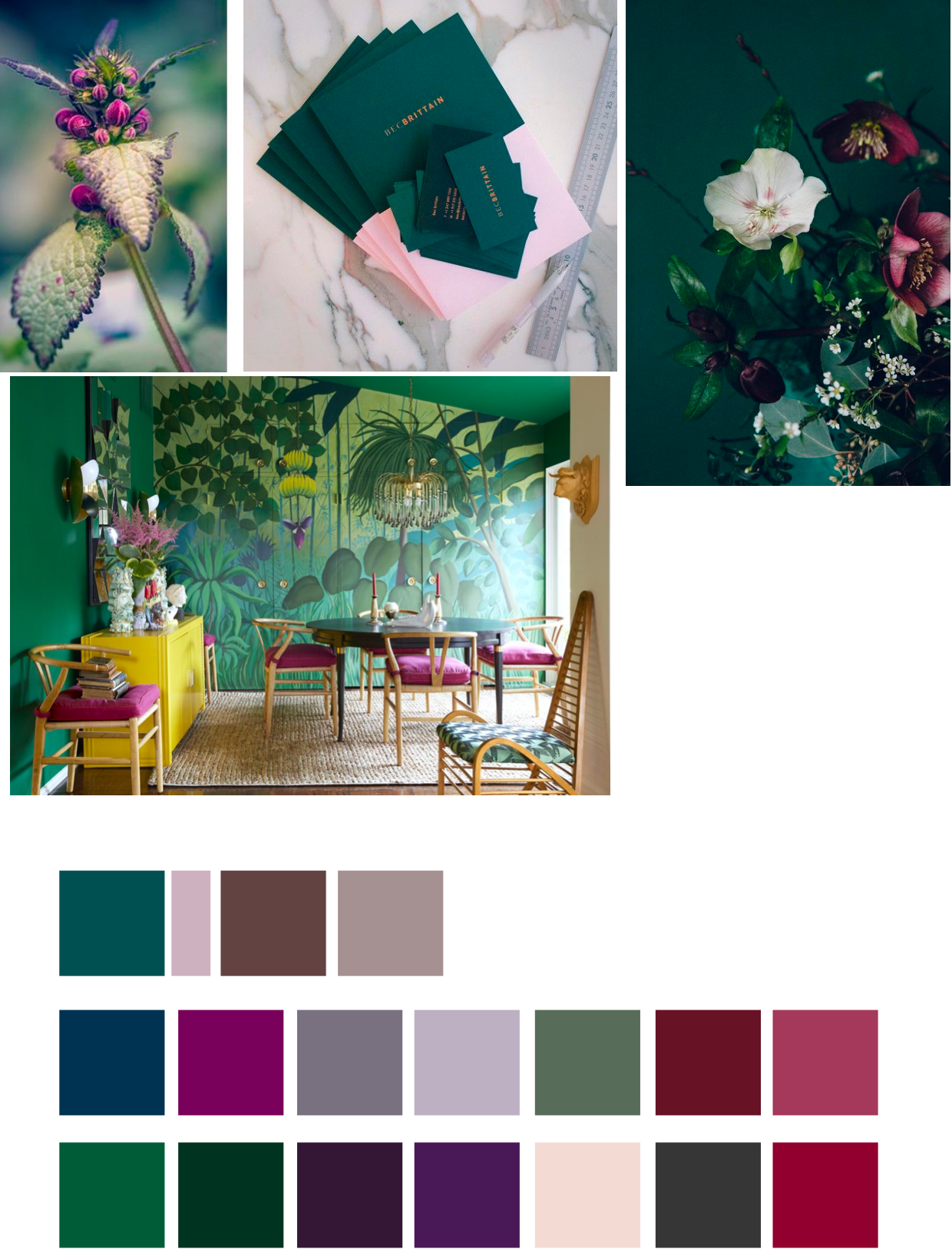 color inspiration Color palette explorations