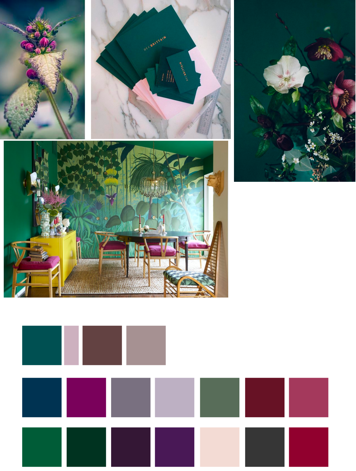 Color palette explorations