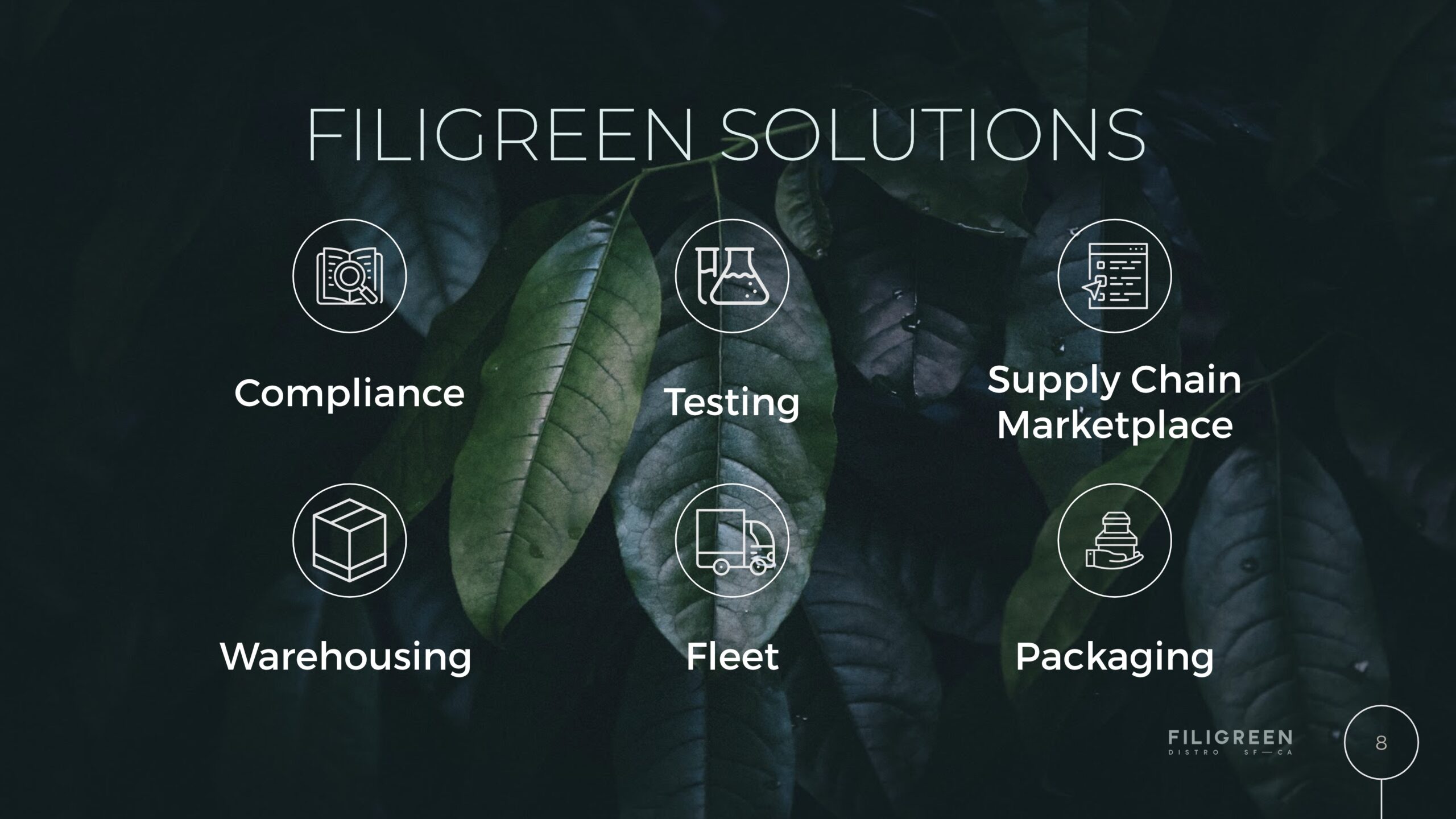 filigreen slides