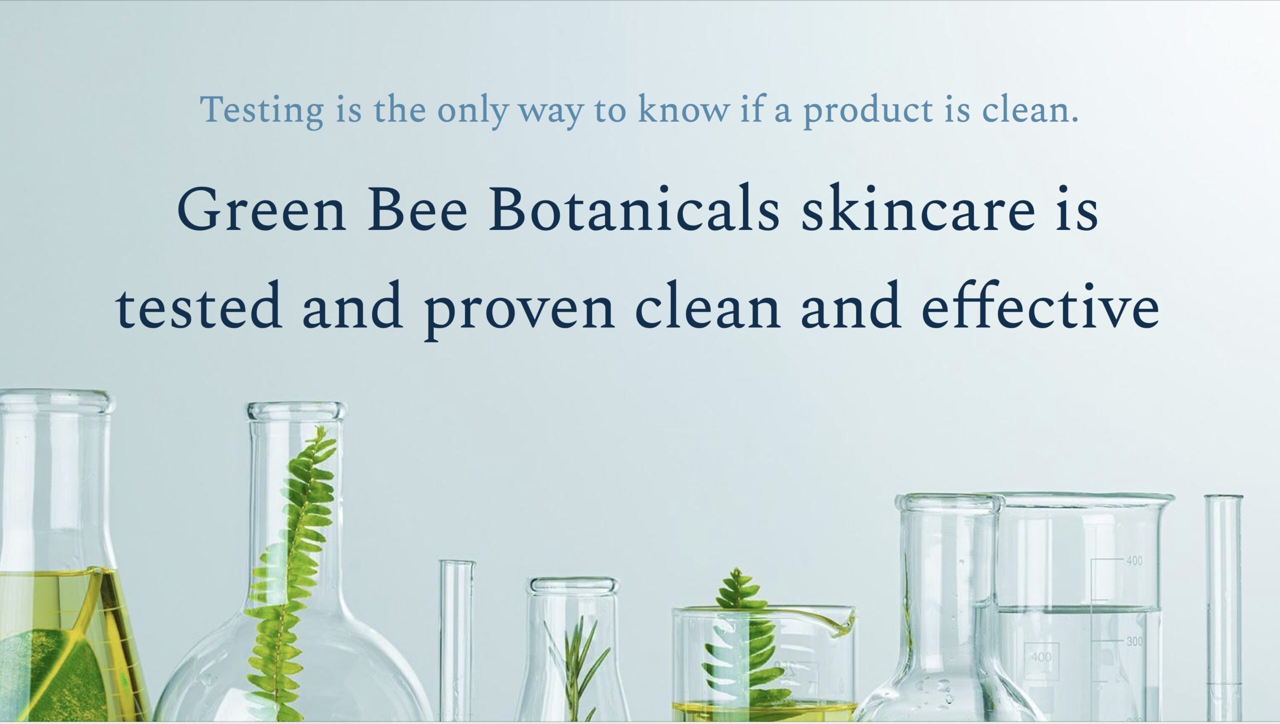 green bee solution slide
